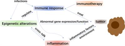 Epigenetic Alterations and Inflammation as Emerging Use for the Advancement of Treatment in Non-Small Cell Lung Cancer